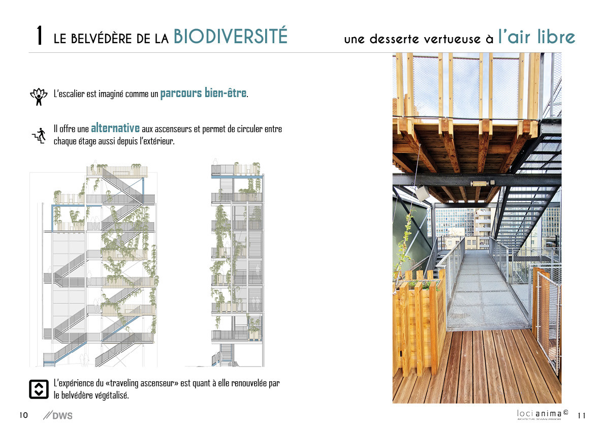 Pr&eacute;sentation du projet Rebuffat — © Loci Anima
